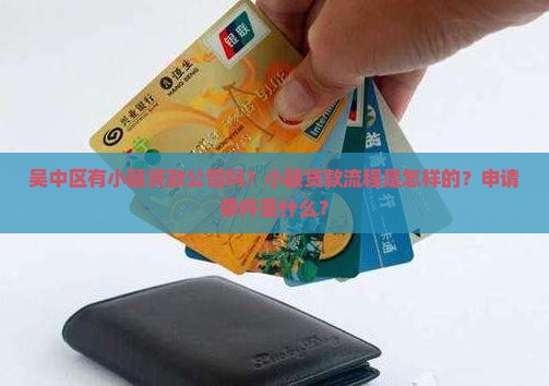 吴中区有小额贷款公司吗？小额贷款流程是怎样的？申请条件是什么？