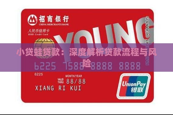 小贷蛙贷款：深度解析贷款流程与风险