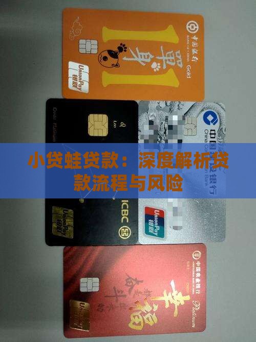 小贷蛙贷款：深度解析贷款流程与风险