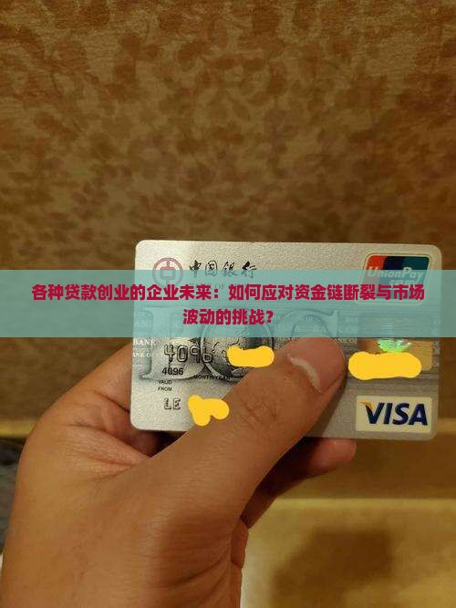 各种贷款创业的企业未来：如何应对资金链断裂与市场波动的挑战？