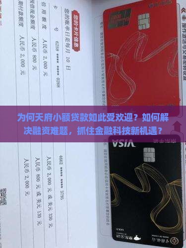 为何天府小额贷款如此受欢迎？如何解决融资难题，抓住金融科技新机遇？