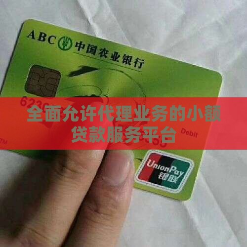 全面允许代理业务的小额贷款服务平台