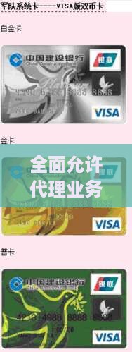 全面允许代理业务的小额贷款服务平台