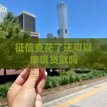 征信查花了还可以申请贷款吗