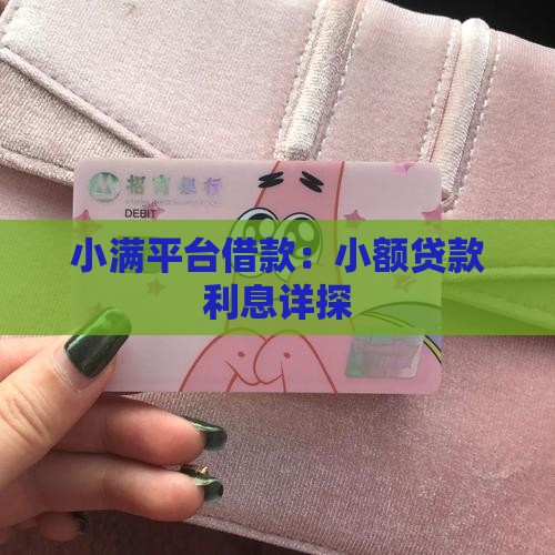 小满平台借款：小额贷款利息详探