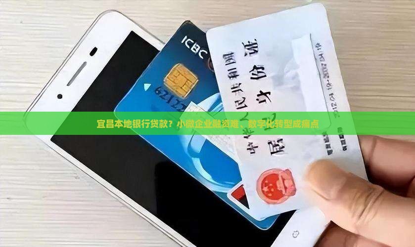 宜昌本地银行贷款？小微企业融资难、数字化转型成痛点