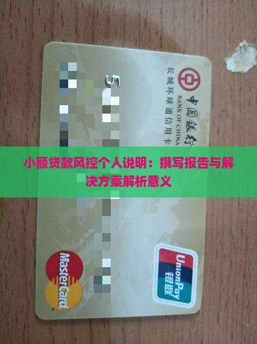 小额贷款风控个人说明：撰写报告与解决方案解析意义