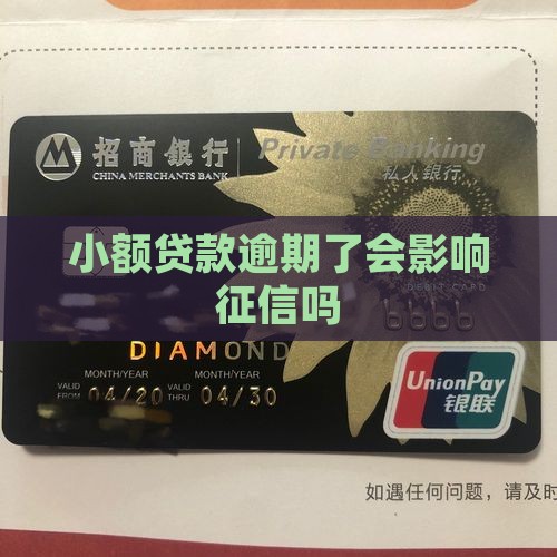 小额贷款逾期了会影响征信吗