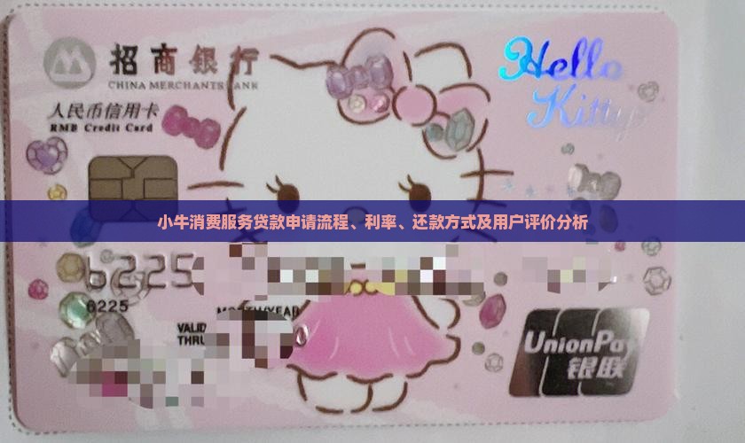 小牛消费服务贷款申请流程、利率、还款方式及用户评价分析