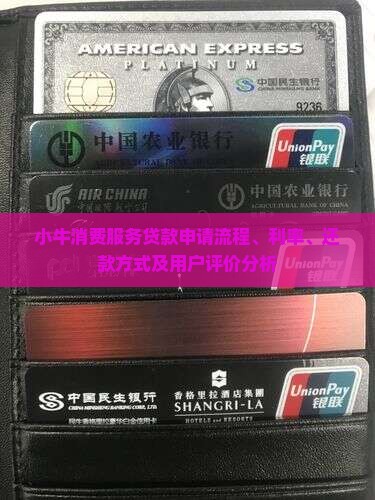 小牛消费服务贷款申请流程、利率、还款方式及用户评价分析