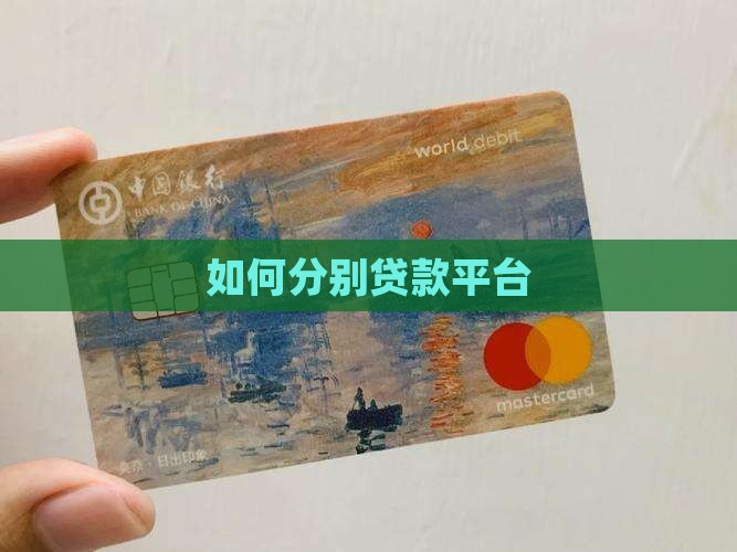 如何分别贷款平台