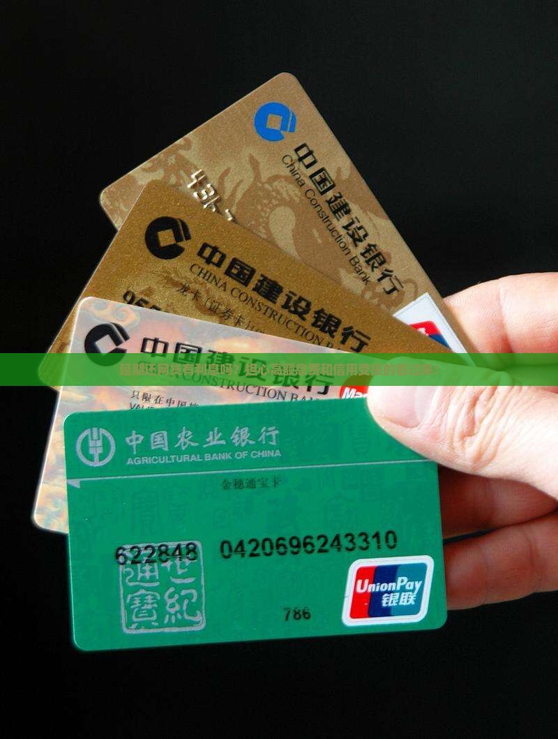 延期还网贷有利息吗？担心高额息费和信用受损的看过来！