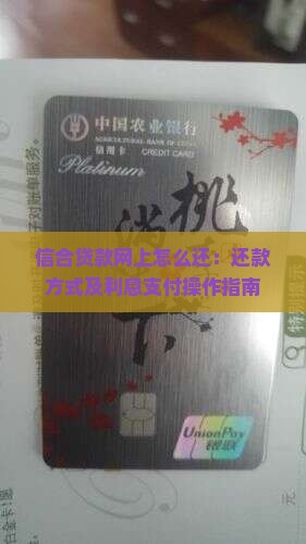 信合贷款网上怎么还：还款方式及利息支付操作指南
