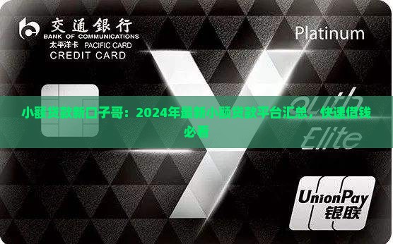 小额贷款新口子哥：2024年最新小额贷款平台汇总，快速借钱必看