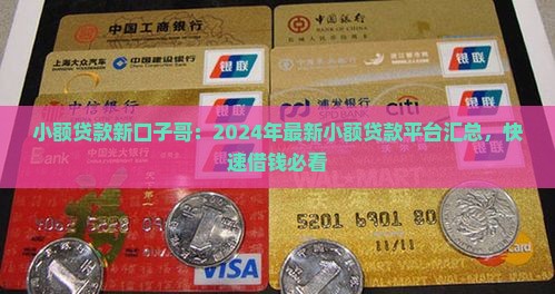 小额贷款新口子哥：2024年最新小额贷款平台汇总，快速借钱必看