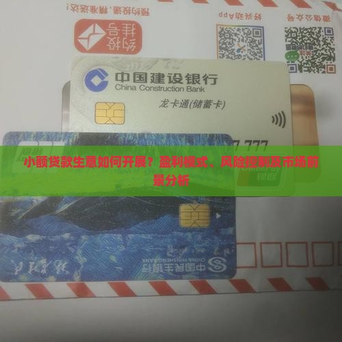 小额贷款生意如何开展？盈利模式、风险控制及市场前景分析