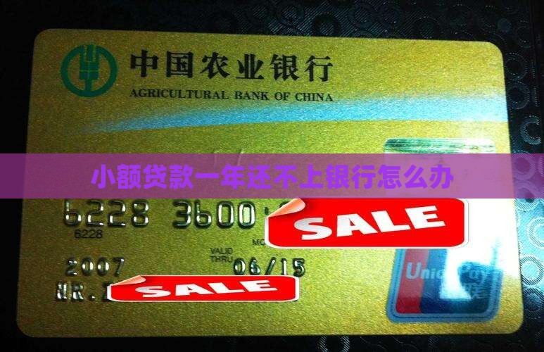 小额贷款一年还不上银行怎么办