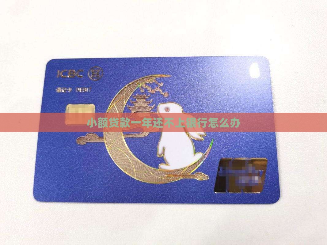 小额贷款一年还不上银行怎么办