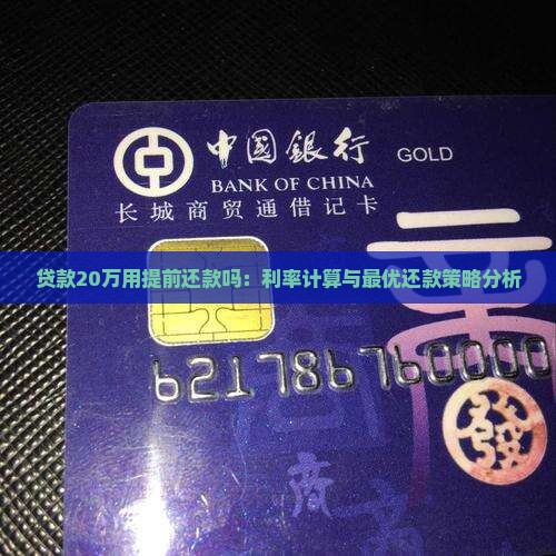 贷款20万用提前还款吗：利率计算与最优还款策略分析