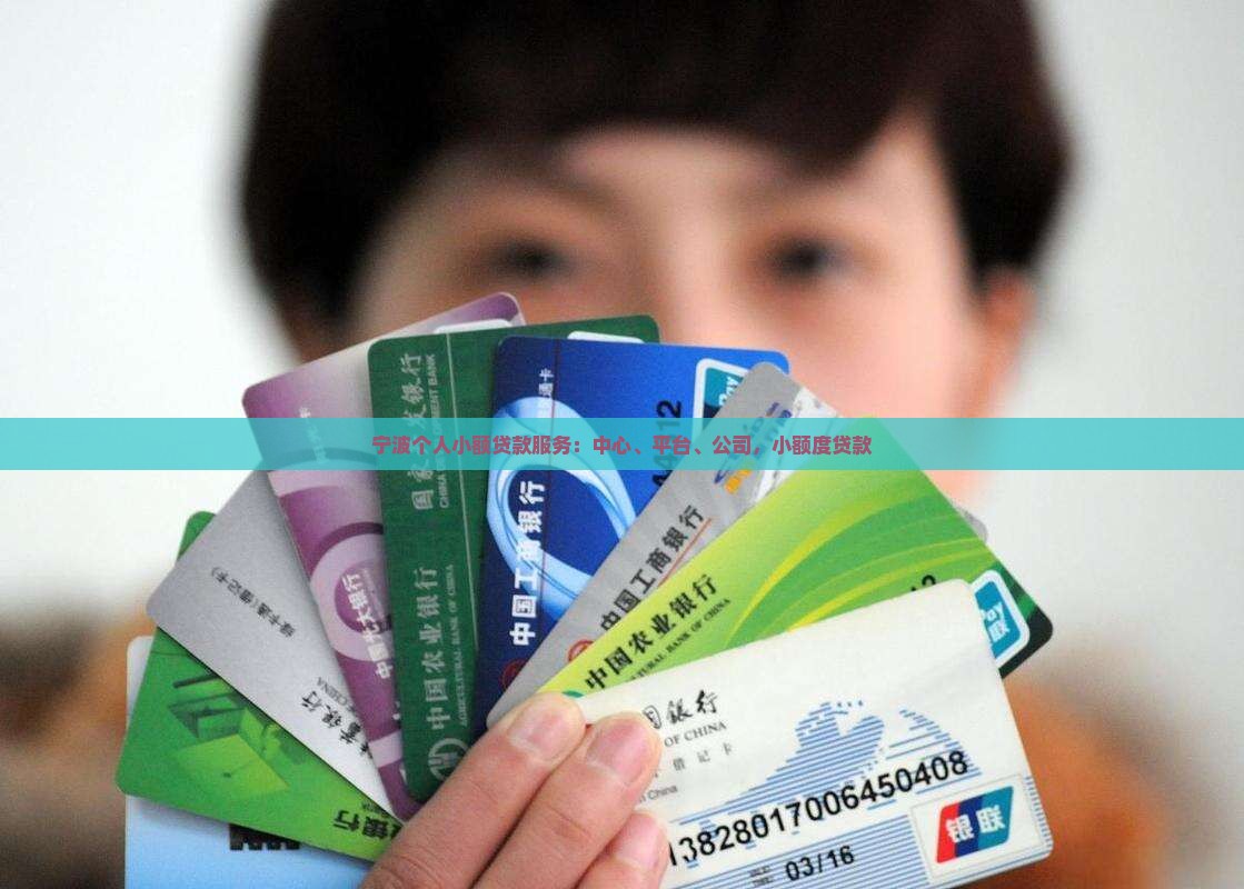 宁波个人小额贷款服务：中心、平台、公司，小额度贷款