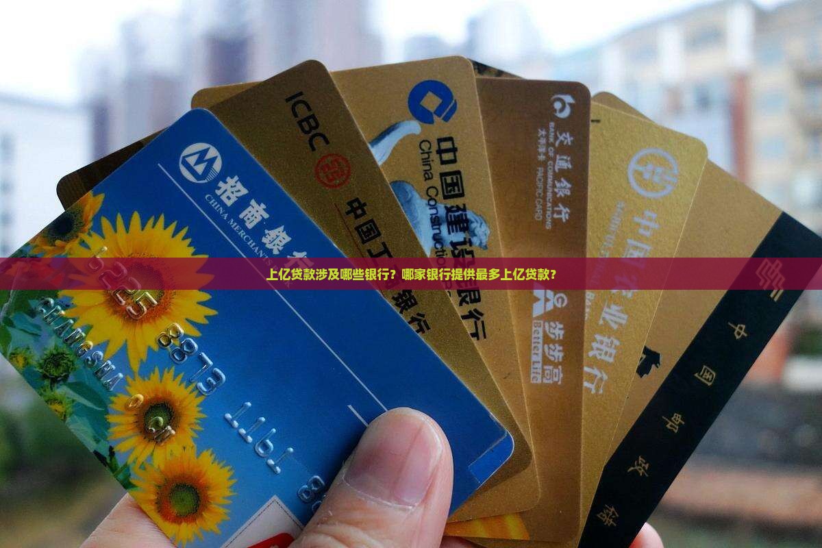 上亿贷款涉及哪些银行？哪家银行提供最多上亿贷款？