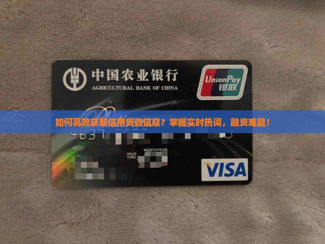 如何高效获取信用贷款信息？掌握实时热词，融资难题！