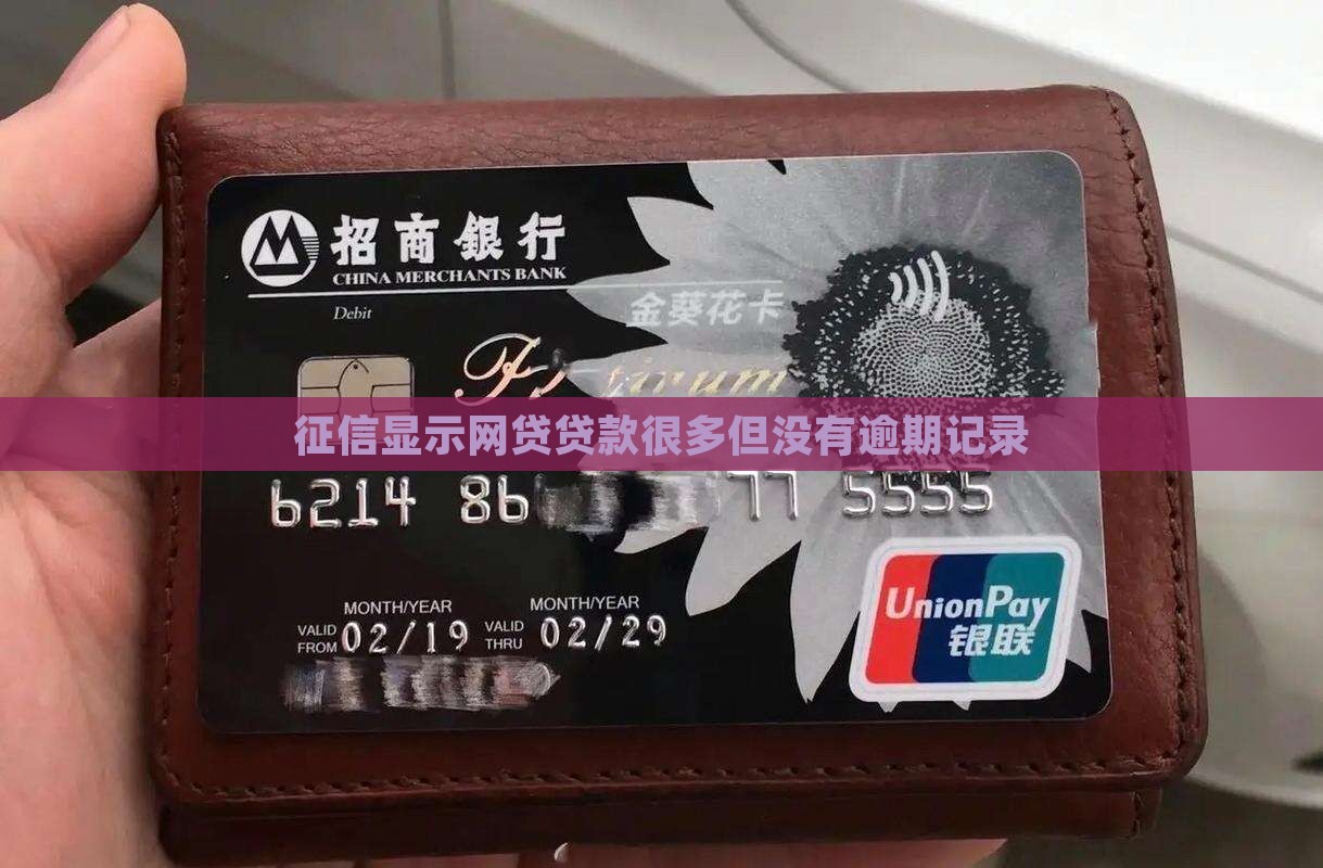 征信显示网贷贷款很多但没有逾期记录