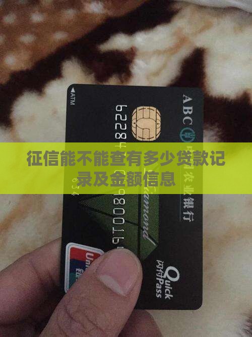 征信能不能查有多少贷款记录及金额信息 征信能不能查有多少贷款记录及金额信息