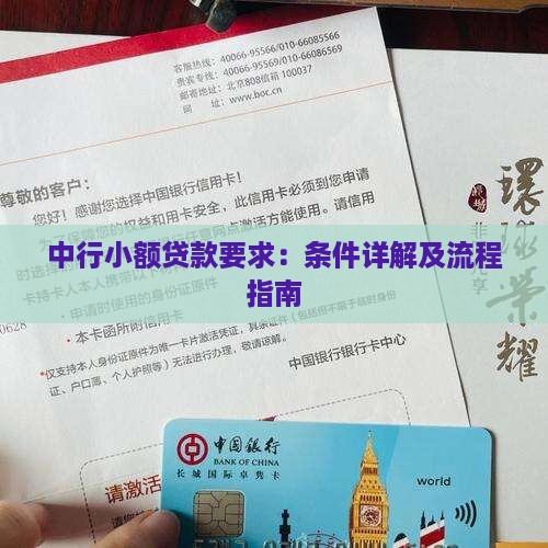 中行小额贷款要求：条件详解及流程指南