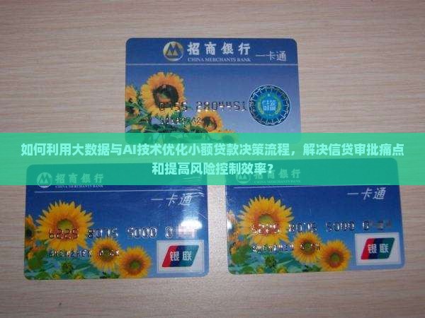 如何利用大数据与AI技术优化小额贷款决策流程，解决信贷审批痛点和提高风险控制效率？