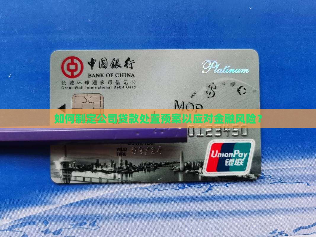如何制定公司贷款处置预案以应对金融风险？