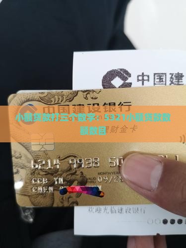 小额贷款打三个数字:5321小额贷款数额数目 小额贷款打三个数字:5321小额贷款数额数目