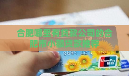 合肥哪里有贷款公司的合肥市小额贷款推荐