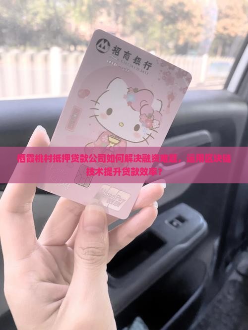 栖霞桃村抵押贷款公司如何解决融资难题，运用区块链技术提升贷款效率？