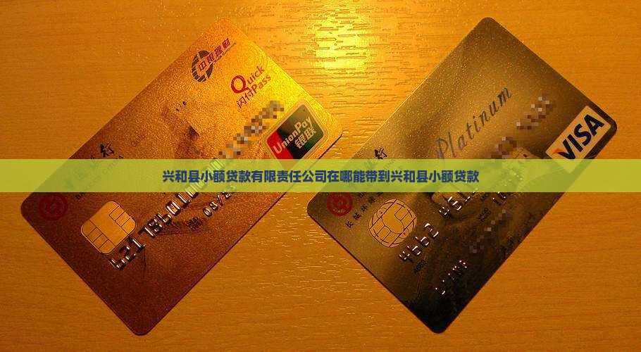 兴和县小额贷款有限责任公司在哪能带到兴和县小额贷款