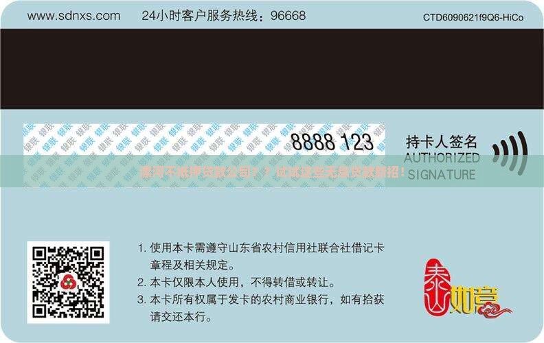 漯河不抵押贷款公司？？试试这些无息贷款新招！