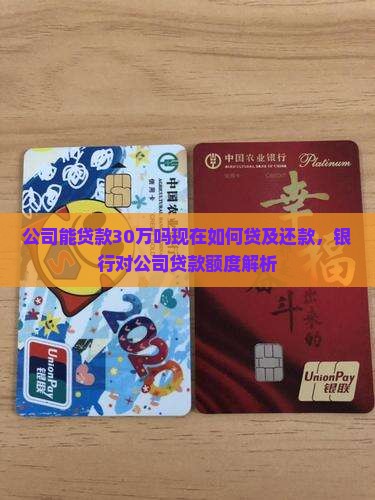 公司能贷款30万吗现在如何贷及还款，银行对公司贷款额度解析