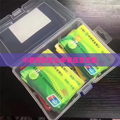 小额贷款怎么申请应急流程