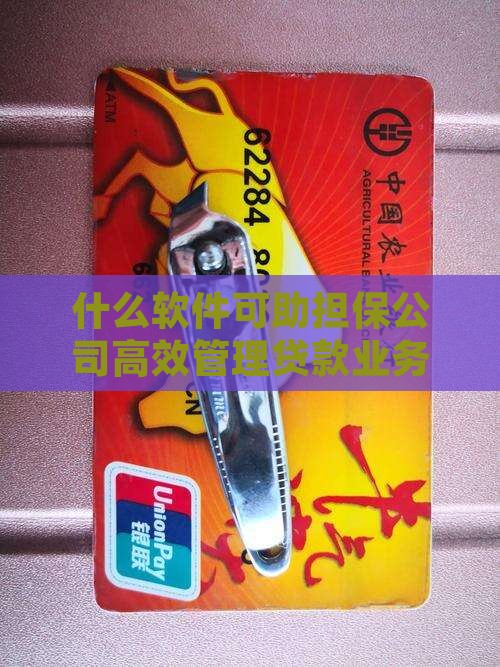 什么软件可助担保公司高效管理贷款业务