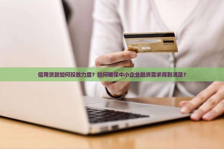 信用贷款如何投放力度？如何确保中小企业融资需求得到满足？