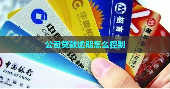 公司贷款逾期怎么控制