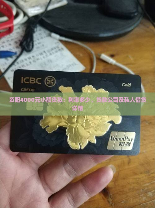 资阳4000元小额贷款：利率多少、贷款公司及私人借贷详情