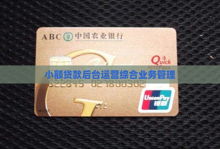 小额贷款后台运营综合业务管理