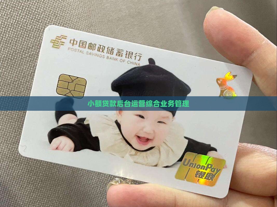 小额贷款后台运营综合业务管理