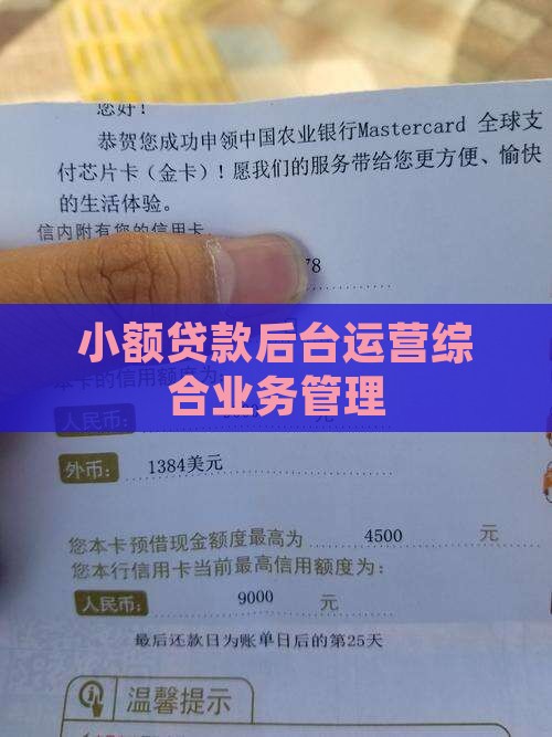 小额贷款后台运营综合业务管理