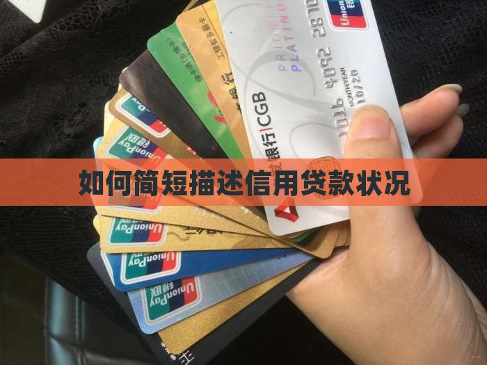 如何简短描述信用贷款状况