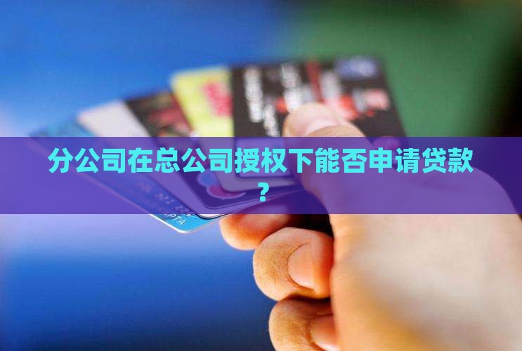 分公司在总公司授权下能否申请贷款？