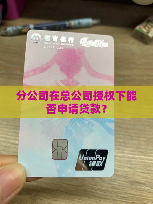 分公司在总公司授权下能否申请贷款？