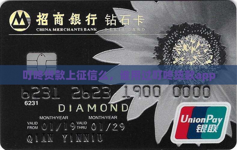 叮咚贷款上征信么，谁用过叮咚贷款app
