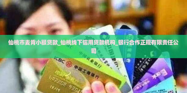 仙桃市麦肯小额贷款_仙桃线下信用贷款机构_银行合作正规有限责任公司